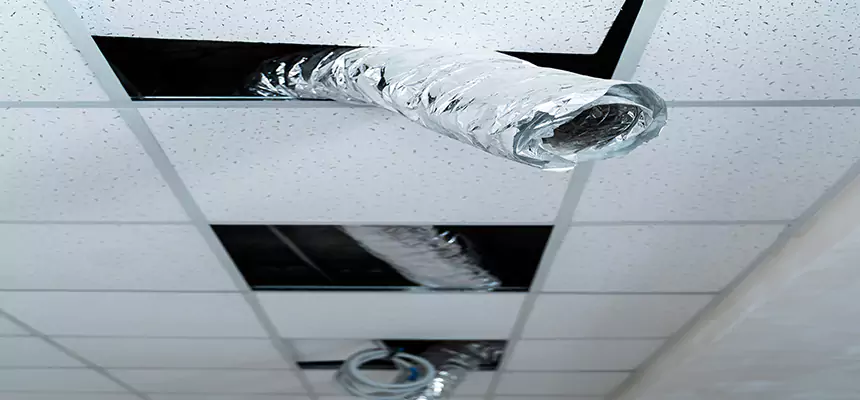 Our Air Duct Pet Hair Removal Services in Midland, TX