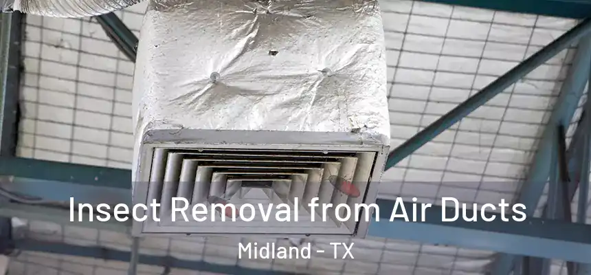 Insect Removal from Air Ducts Midland - TX