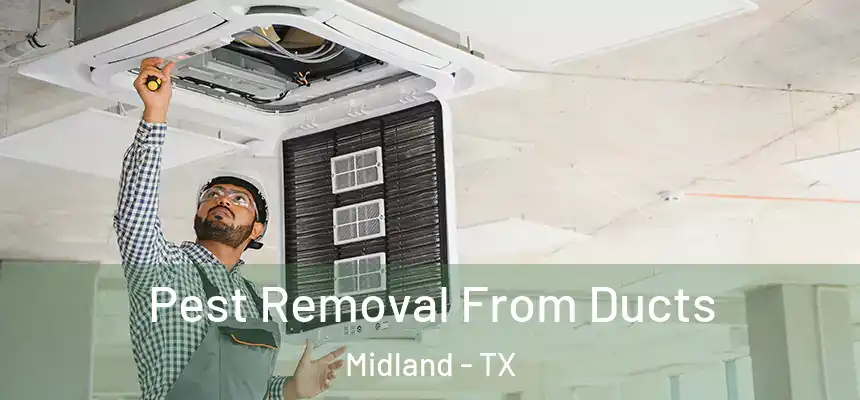 Pest Removal From Ducts Midland - TX