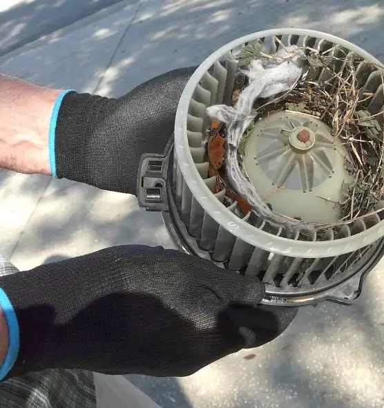 About Air Duct Mice Removal in Midland, TX