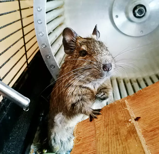 Why Homeowners & Businesses Trust Us Midland, TX