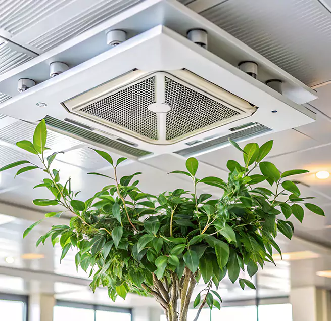 Why Homeowners & Businesses Trust Us in Midland, TX?